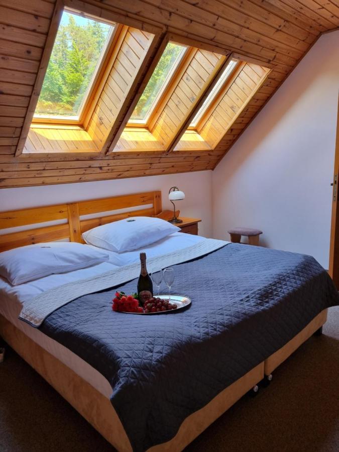 קרפאז' Hotel Karkonosze מראה חיצוני תמונה
